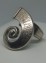 Δαχτυλίδι χειροποίητο γυναικείο snail silver