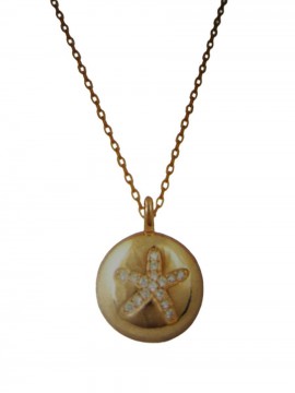 Κολιέ ασήμι 925 γυναικείο αστερίας rose gold