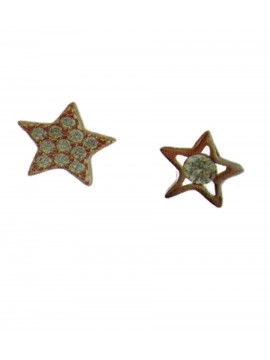 Σκουλαρίκι ασήμι 925 γυναικείο Rose Star