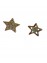 Σκουλαρίκι ασήμι 925 γυναικείο Rose Star