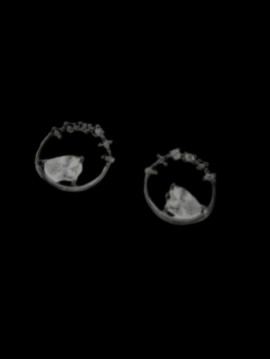 Σκουλαρίκι ασήμι 925 γυναικείο Silver Stone