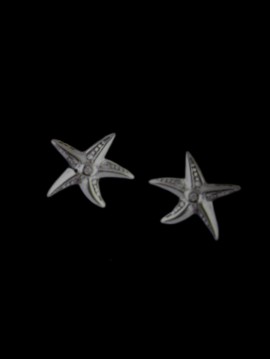 Σκουλαρίκι ασήμι 925 γυναικείο Silver Starfish