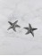 Σκουλαρίκι ασήμι 925 γυναικείο Silver Starfish