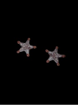 Σκουλαρίκι ασήμι 925 γυναικείο Rose Zirgon