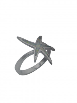 Δαχτυλίδι ασήμι 925 γυναικείο Αστερίας άσπρος